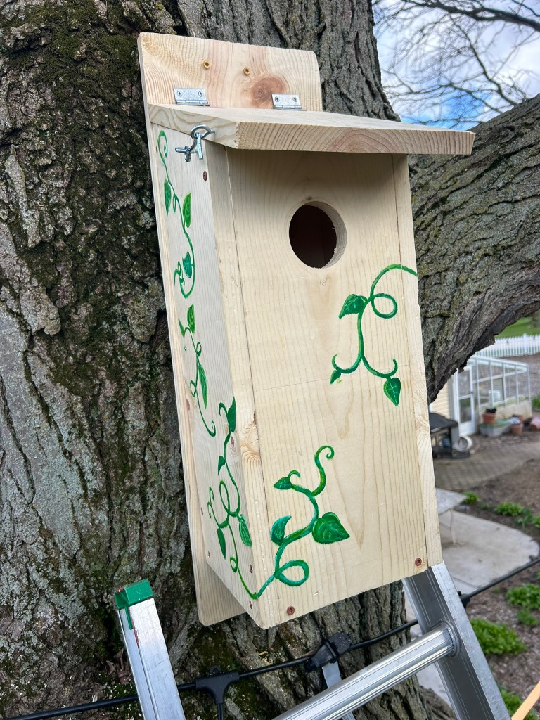 Northern flicker bird box