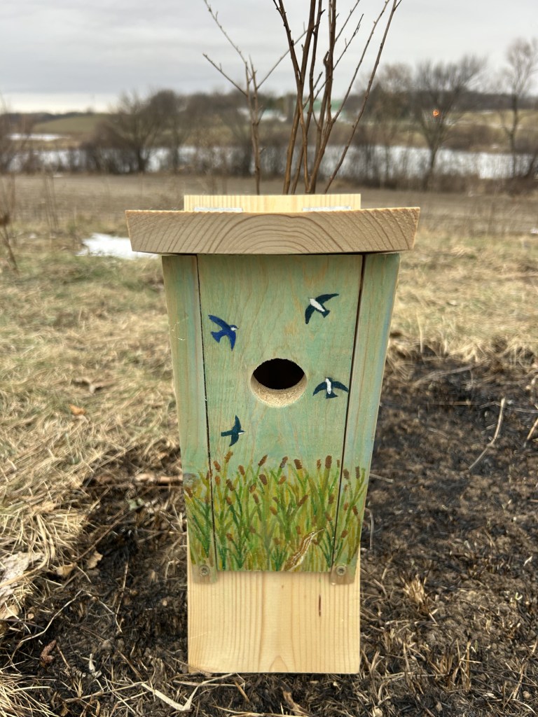 Tree swallow nestbox